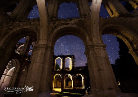 Impresionante foto nocturna de Luciernagos in the dark